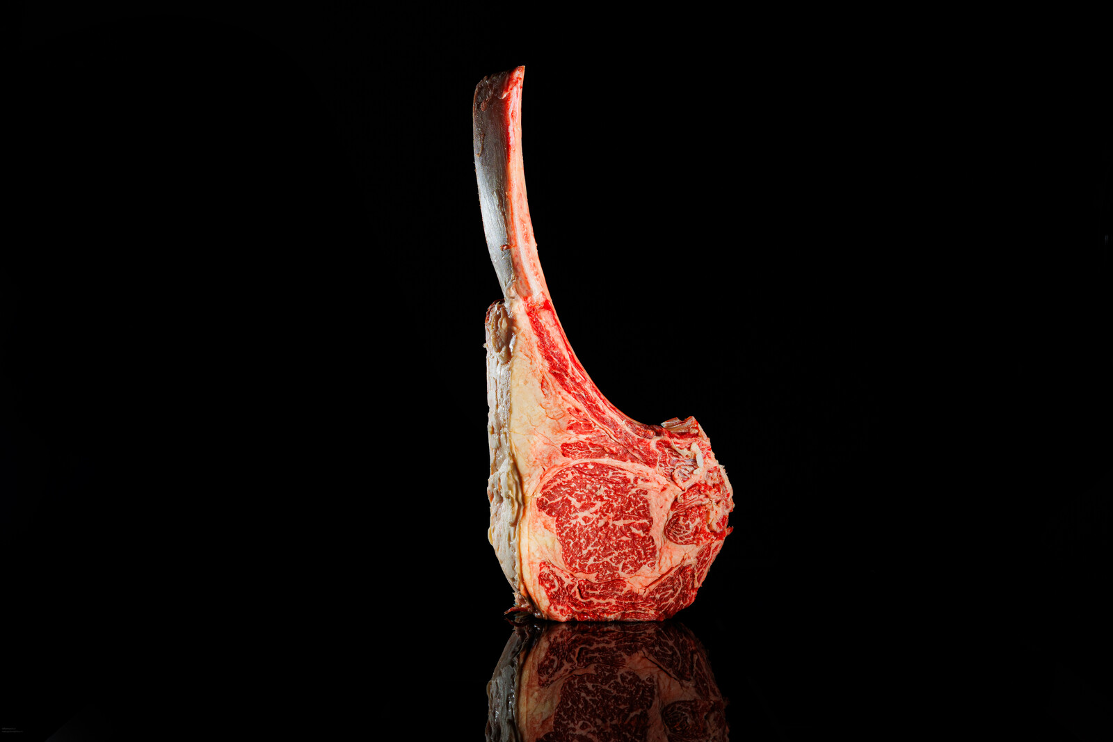 Tomahawk crudo in piedi, con il lungo osso verso l'alto, su fondo nero